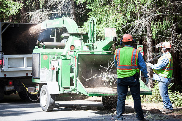 Best Weed Control  in Waterbury, CT